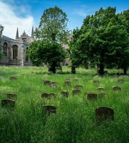 St Mary's Church and graveyard, tombstones surrounded by long green grass, parish church in England.