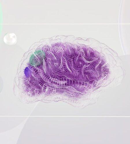 découvrez comment le reprogrammation du cerveau peut transformer votre vie. apprenez des techniques innovantes pour modifier vos schémas de pensée, améliorer votre bien-être mental et atteindre vos objectifs personnels avec succès.