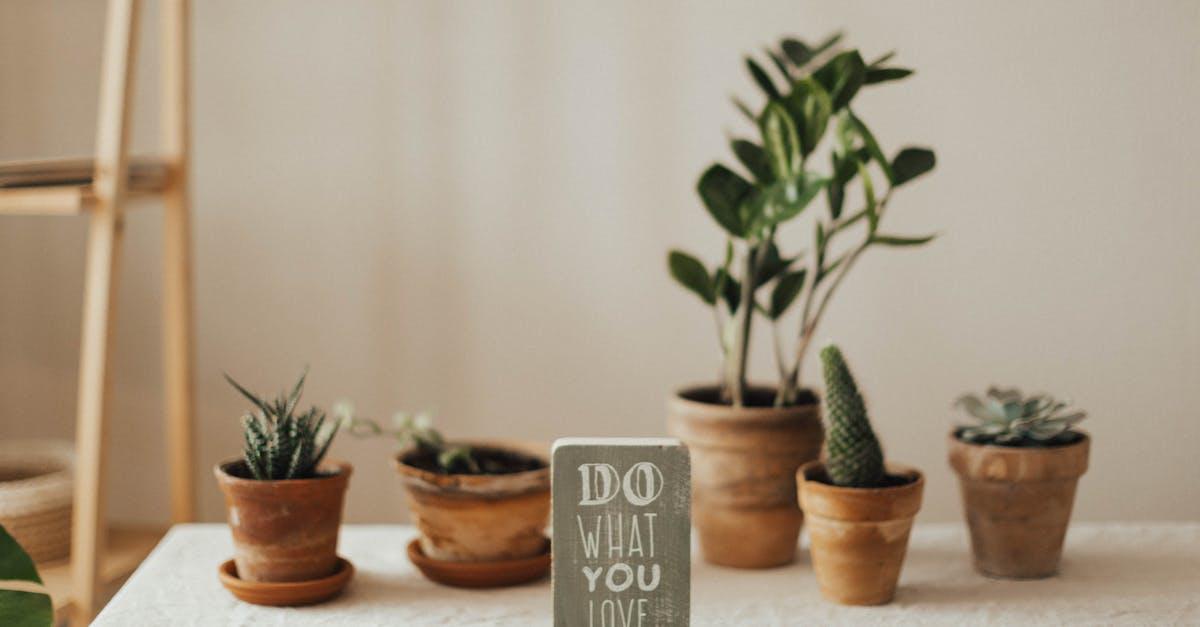 découvrez comment booster votre motivation au quotidien grâce à des conseils pratiques, des astuces inspirantes et des stratégies efficaces pour atteindre vos objectifs personnels et professionnels. transformez vos rêves en réalité et surmontez les obstacles avec un esprit motivé !