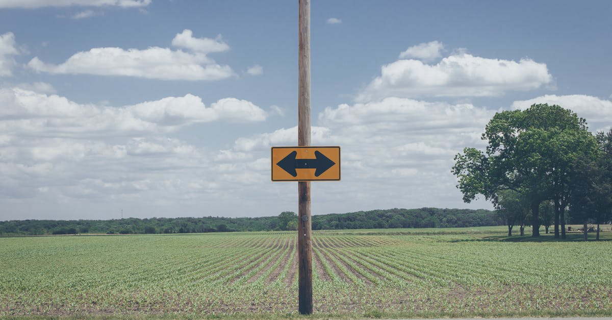 découvrez l'importance de la prise de décision dans divers aspects de la vie. apprenez les méthodes et stratégies pour prendre des décisions éclairées et efficaces, qu'il s'agisse de choix personnels ou professionnels.