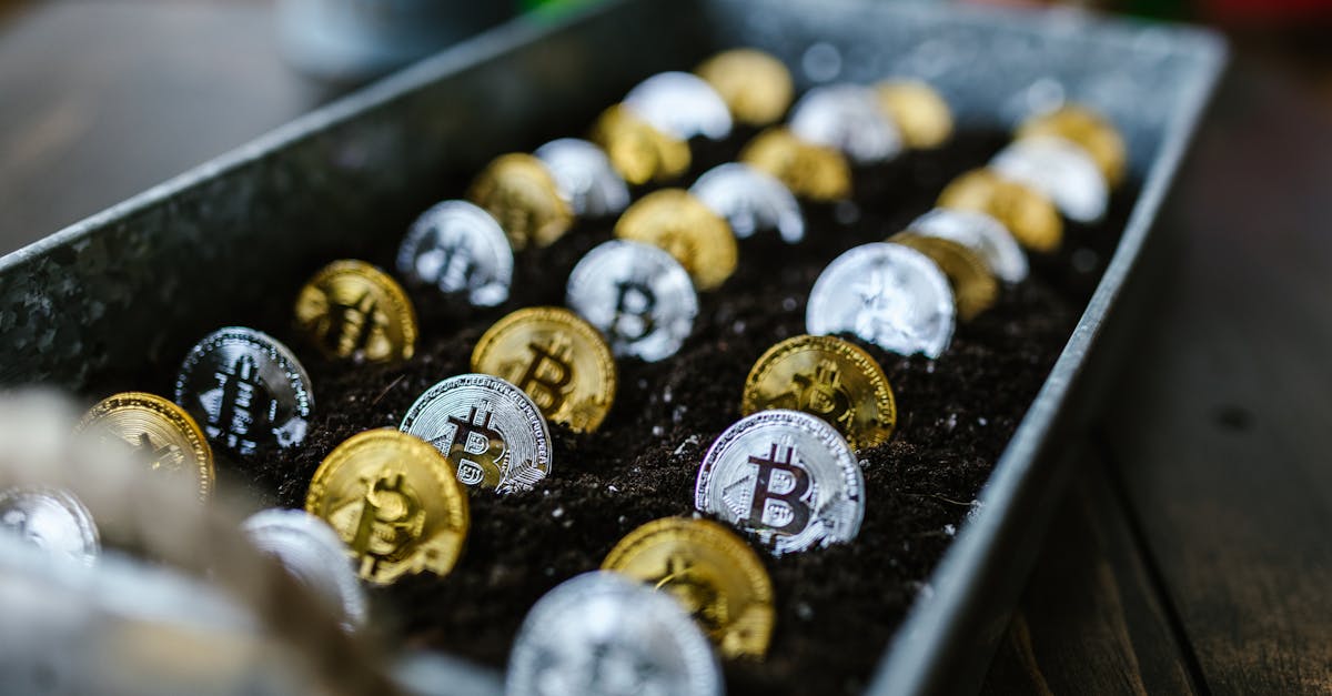 découvrez une opportunité d'investissement exceptionnelle qui pourrait transformer votre avenir financier. explorez des options diversifiées et maximisez vos rendements en saisissant cette chance unique de faire croître votre capital.