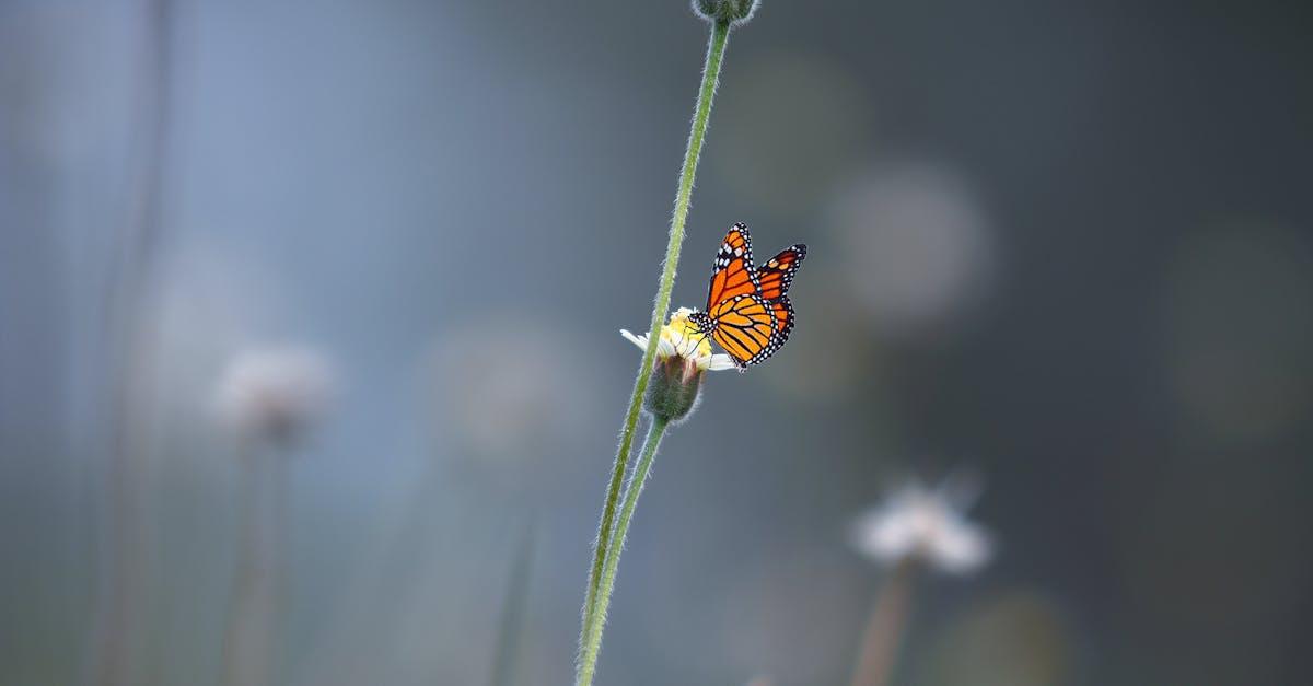 découvrez comment la transformation peut révolutionner votre vie et améliorer votre bien-être. explorez des stratégies pratiques et des conseils inspirants pour amorcer un changement positif et durable.