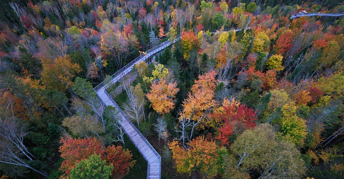découvrez comment les changements peuvent transformer votre vie et vous ouvrir à de nouvelles perspectives. explorez les différents aspects des changements, qu'ils soient personnels, professionnels ou sociaux, et apprenez à les embrasser pour un avenir meilleur.