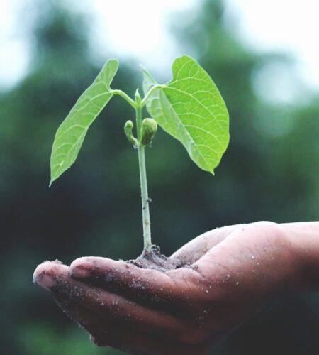 découvrez comment les changements peuvent transformer votre quotidien et booster votre croissance personnelle. explorez des stratégies efficaces pour embrasser le changement et en faire un atout dans votre vie.