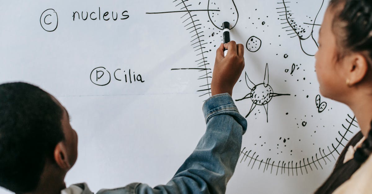 découvrez les différentes méthodes d'apprentissage pour optimiser vos compétences et améliorer votre compréhension. explorez des techniques variées adaptées à tous les styles d'apprentissage.
