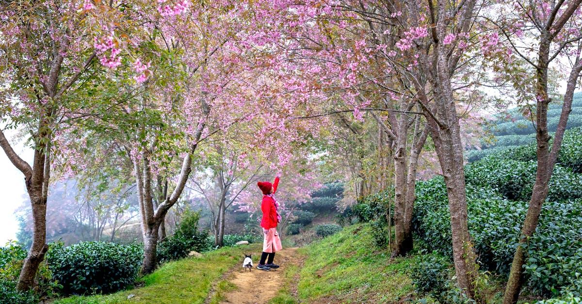découvrez les avantages d'un congé sabbatique : une pause revitalisante pour explorer de nouvelles passions, voyager, ou simplement prendre du temps pour soi. transformez votre vie professionnelle et personnelle grâce à cette expérience enrichissante.