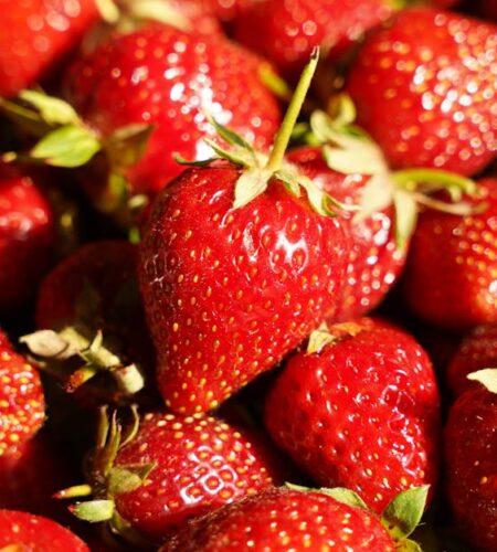 découvrez comment une alimentation saisonnière peut transformer votre bien-être. explorez des recettes fraîches et des conseils nutritionnels adaptés à chaque saison pour profiter au maximum des fruits et légumes de saison.