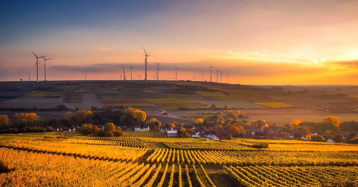 découvrez les clés de la durabilité : engagez-vous pour un avenir respectueux de l'environnement, économiquement viable et socialement équitable. explorez des solutions innovantes et des pratiques durables pour un monde meilleur.