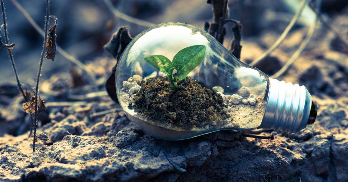 découvrez l'importance de la durabilité et comment adopter des pratiques respectueuses de l'environnement pour un avenir meilleur. explorez des stratégies innovantes et des conseils pratiques pour intégrer la durabilité dans votre quotidien.
