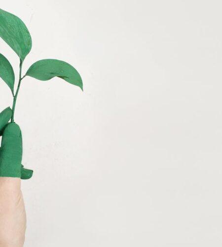 découvrez l'importance de la durabilité et comment elle transforme notre monde. explorez des pratiques écoresponsables, des innovations vertes et des solutions pour un avenir plus durable. engagez-vous en faveur de la planète et apprenez comment chaque geste compte.