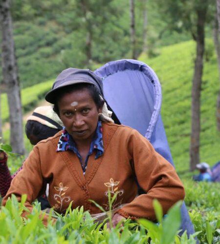 découvrez tout sur la viabilité, un concept clé en économie et en biologie. apprenez comment évaluer la durabilité et la faisabilité des projets, des entreprises et des organismes vivants pour garantir leur succès à long terme.