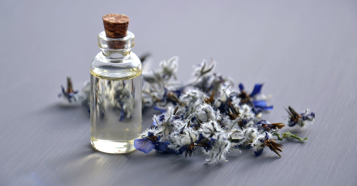 découvrez les secrets du bien-être avec des conseils pratiques, des techniques de relaxation et des ressources pour améliorer votre qualité de vie. explorez des astuces pour une vie équilibrée et épanouie.