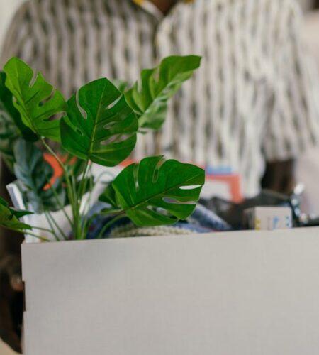découvrez des conseils pratiques et des stratégies efficaces pour réussir votre transition de carrière. explorez les meilleures options pour réorienter votre parcours professionnel et atteindre vos objectifs.