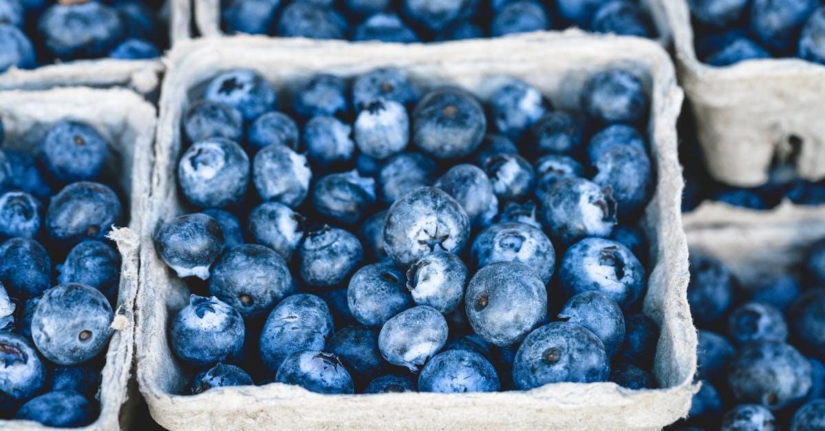 découvrez comment un changement alimentaire peut améliorer votre santé, booster votre énergie et favoriser une meilleure qualité de vie. conseils pratiques et astuces pour adopter de nouvelles habitudes nutritionnelles simplement.