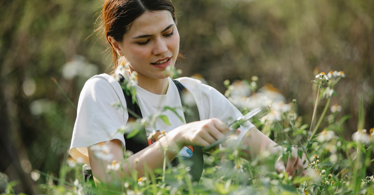 découvrez comment créer un environnement de travail sain qui favorise le bien-être, la productivité et la collaboration au sein de votre équipe. adoptez des pratiques qui améliorent la qualité de vie au travail!