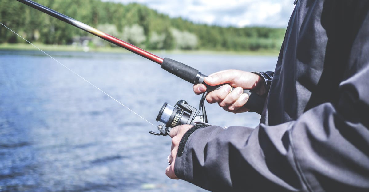 découvrez comment enrichir votre quotidien avec des hobbies variés. que ce soit la peinture, le jardinage, la lecture ou le sport, trouvez des idées inspirantes et des conseils pratiques pour développer vos passions et faire de votre temps libre un véritable moment de plaisir.